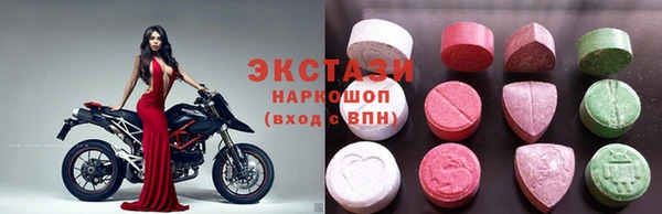 стаф Корсаков