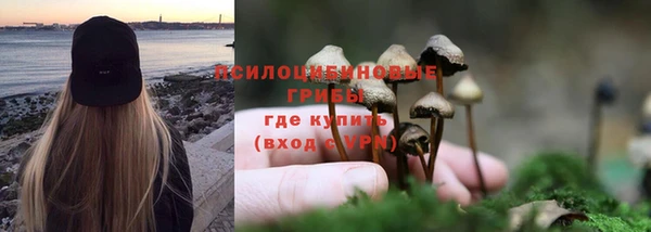 дживик Алзамай