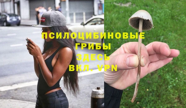 бутират Алексеевка