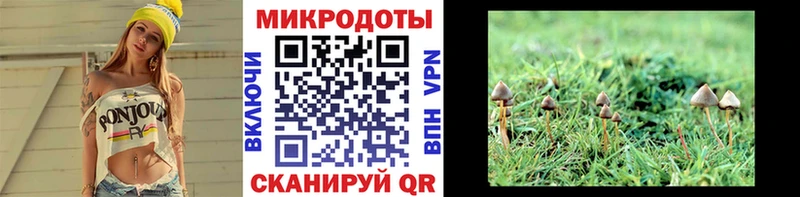 omg зеркало Дзержинский Галлюциногенные грибы MAGIC MUSHROOMS купить наркотики сайты